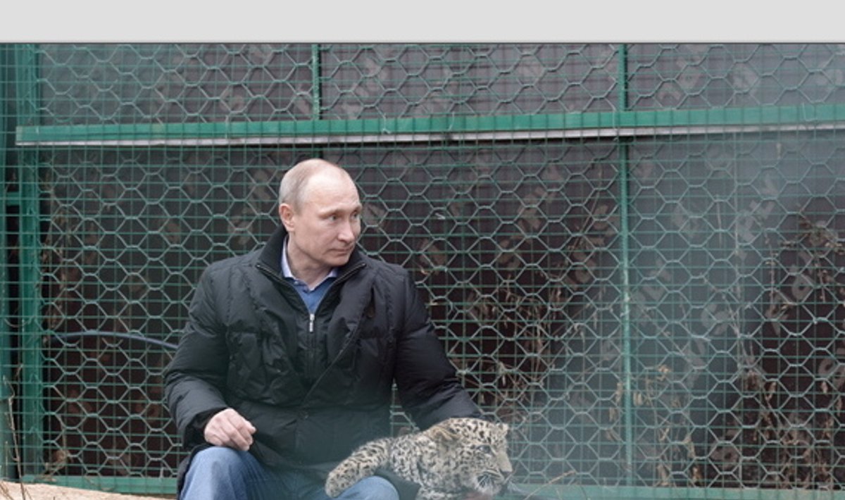 Putin visits Sochi's Leopard Breeding Centre