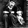 Leiti senitundmatu Chaplini film