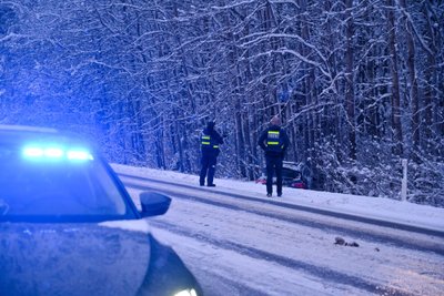 Viljandimaal sõitis Audi teelt välja