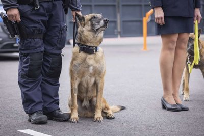 Teenistuskoerad siirduvad väljateenitud pensionile