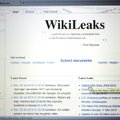 USA saadik: WikiLeaksi paljastused võivad häirida koostööd Lätiga