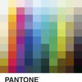 VAATA, mis on Pantone aasta värv 2017