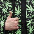Германия легализовала марихуану. Но пока купить ее можно будет только в закрытых клубах