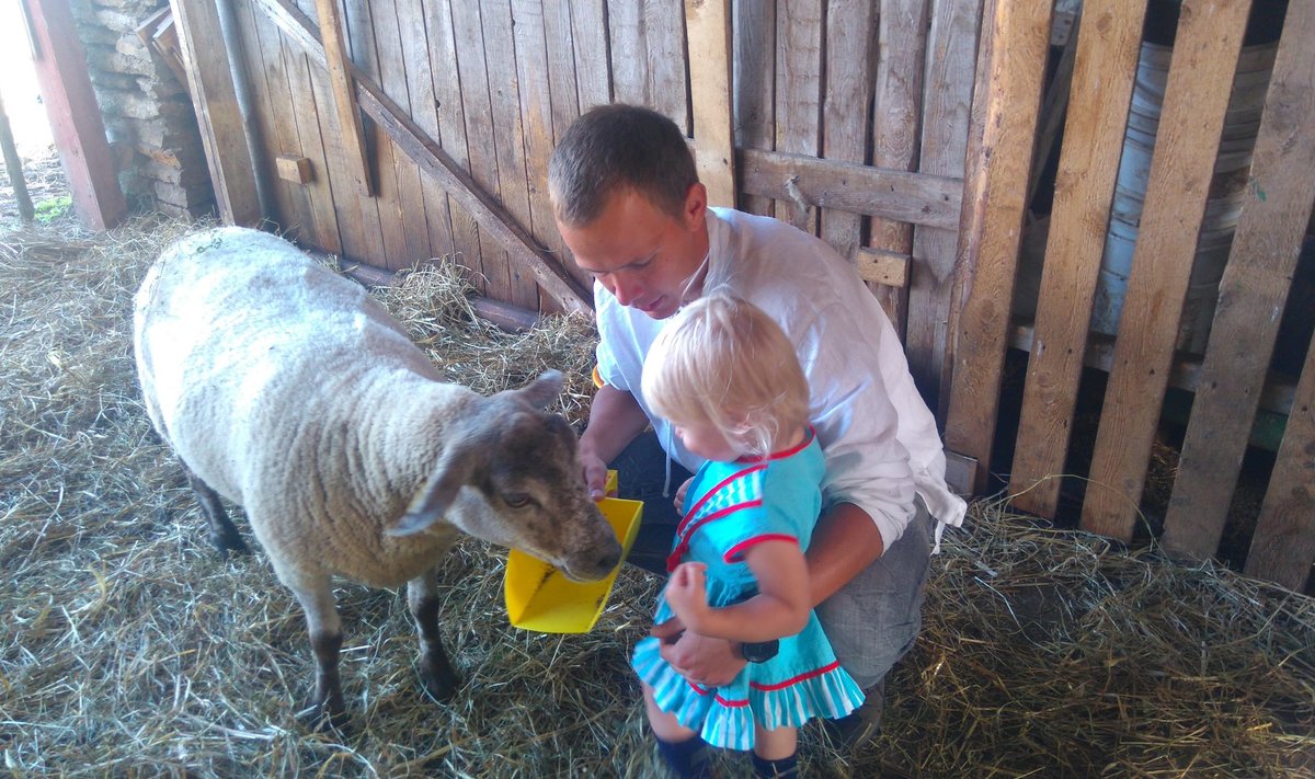 Priidu Veersalu tutvustab lastele lambaid.