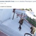 Президент Ильвес в социальных сетях сравнил Эстонию с маленькой смелой собачкой