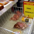 Üllatus: Eestis hinnatõus peatus