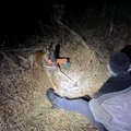 "Вокруг деревья, мох и заросли": служебные собаки спасли заблудившегося ночью в лесу мужчину