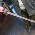 МИД: вопрос происхождения древнего меча уже решают эстонские эксперты