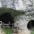 Neandertali ja Denisi koopa inimesed siiski paaritusid ka homo sapiensiga