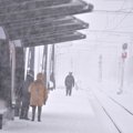 Talv naaseb: ööl vastu homset jõuab Eestisse tihe lume- ja lörtsisadu