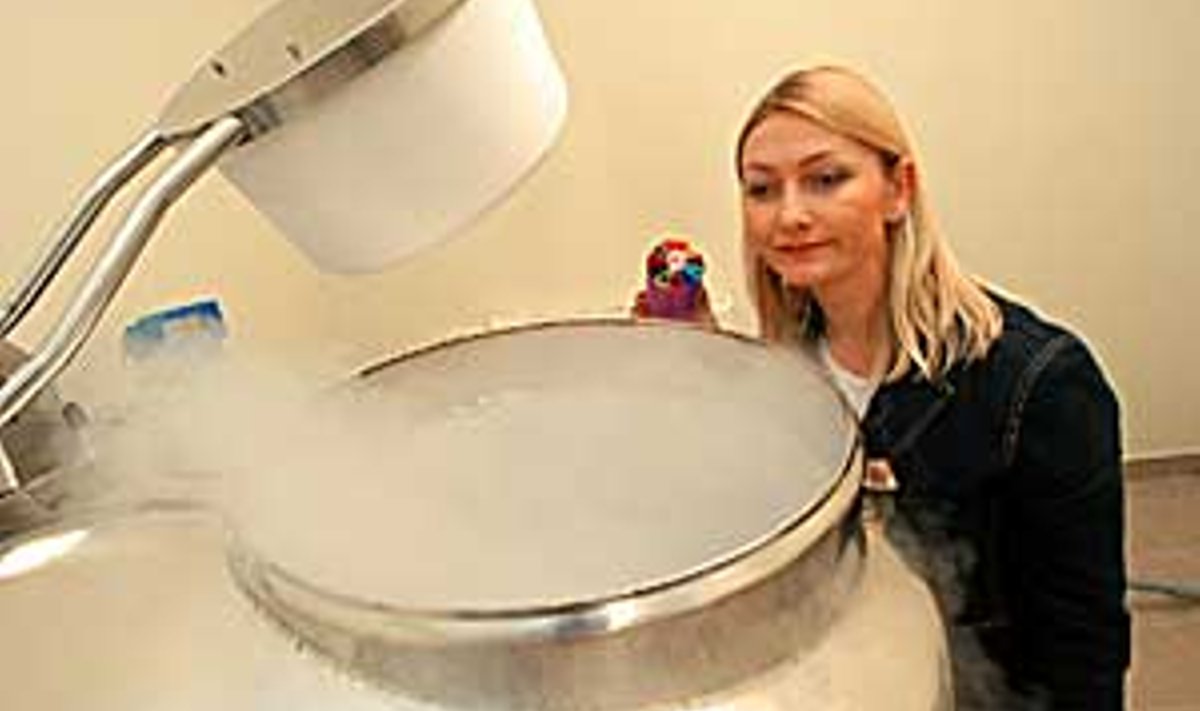 NÕIAKATEL: Krista Kruuv kiikab pütti, kuhu mahuvad värvikoodiga plasttopsides täpselt 8632 inimese DNA-andmed. Tiit Blaat
