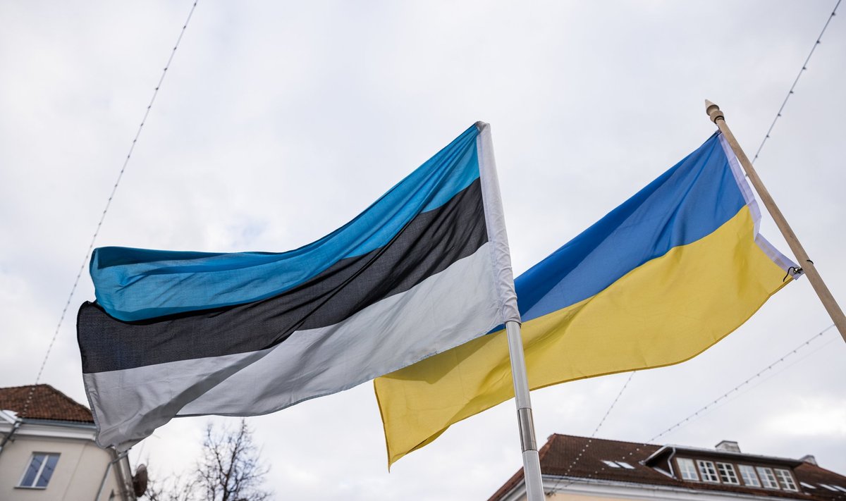 Эстонский и украинский флаги