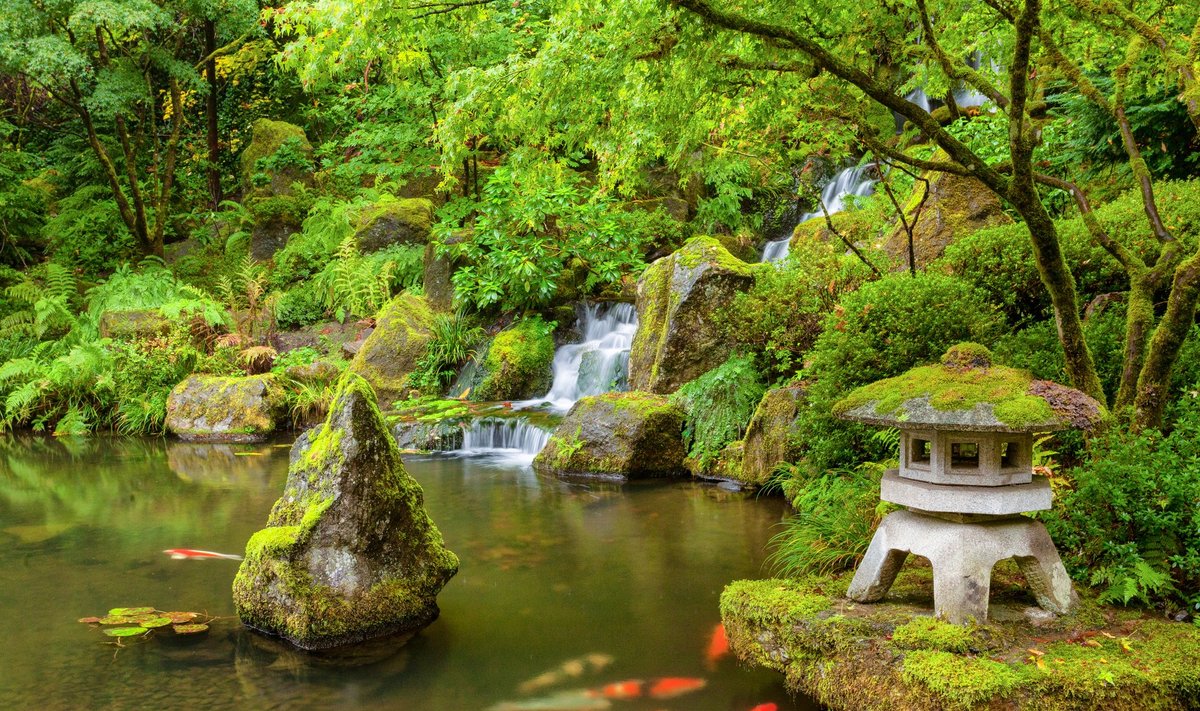Jaapanipärases aiakujunduses on samblal väga oluline koht.