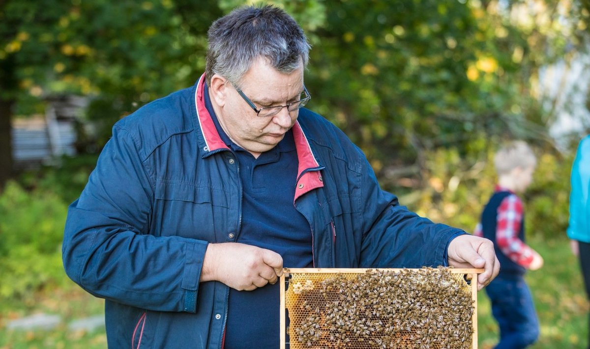 Aimar Lauge sõnul soosis soe kevad mesilasperede arengut.