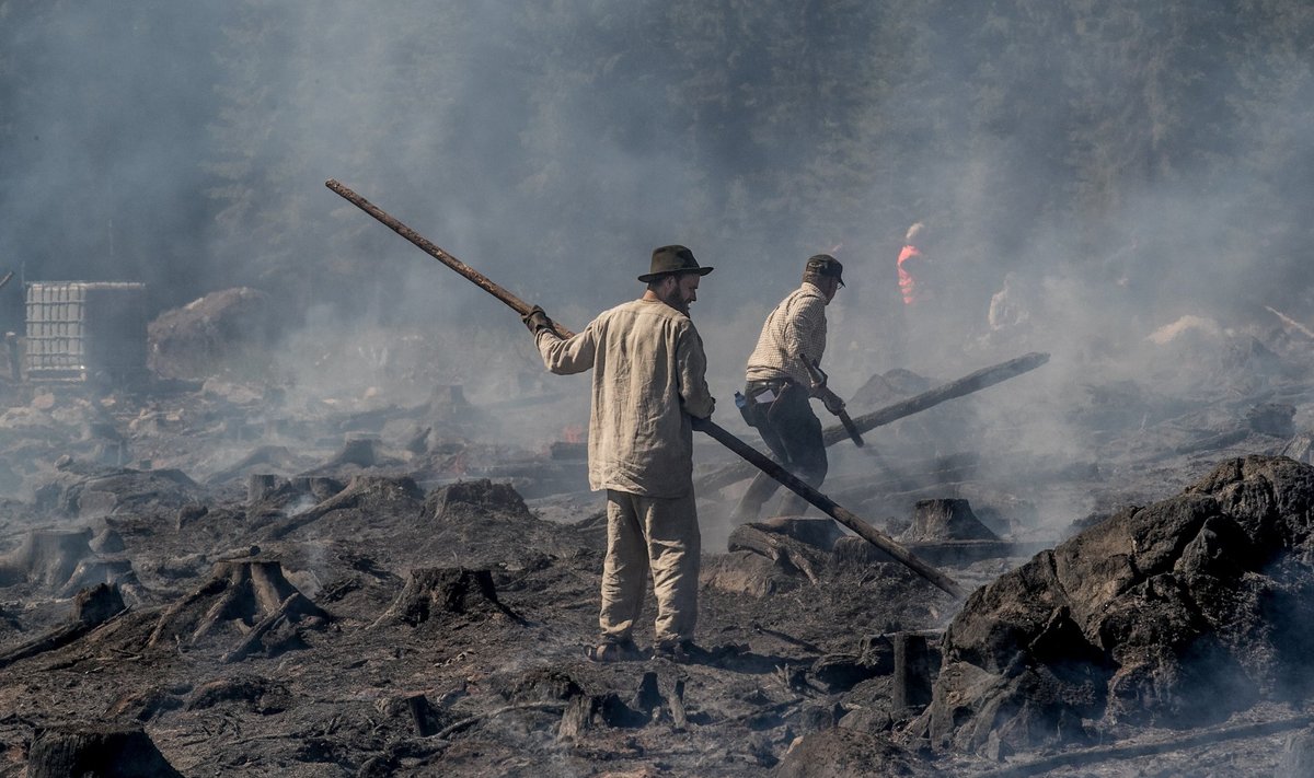 Samal ajal kui Eesti võitleb metsatulekahjudega, põletavad põhjanaabrid oma metsa pidulikult ja meelega.