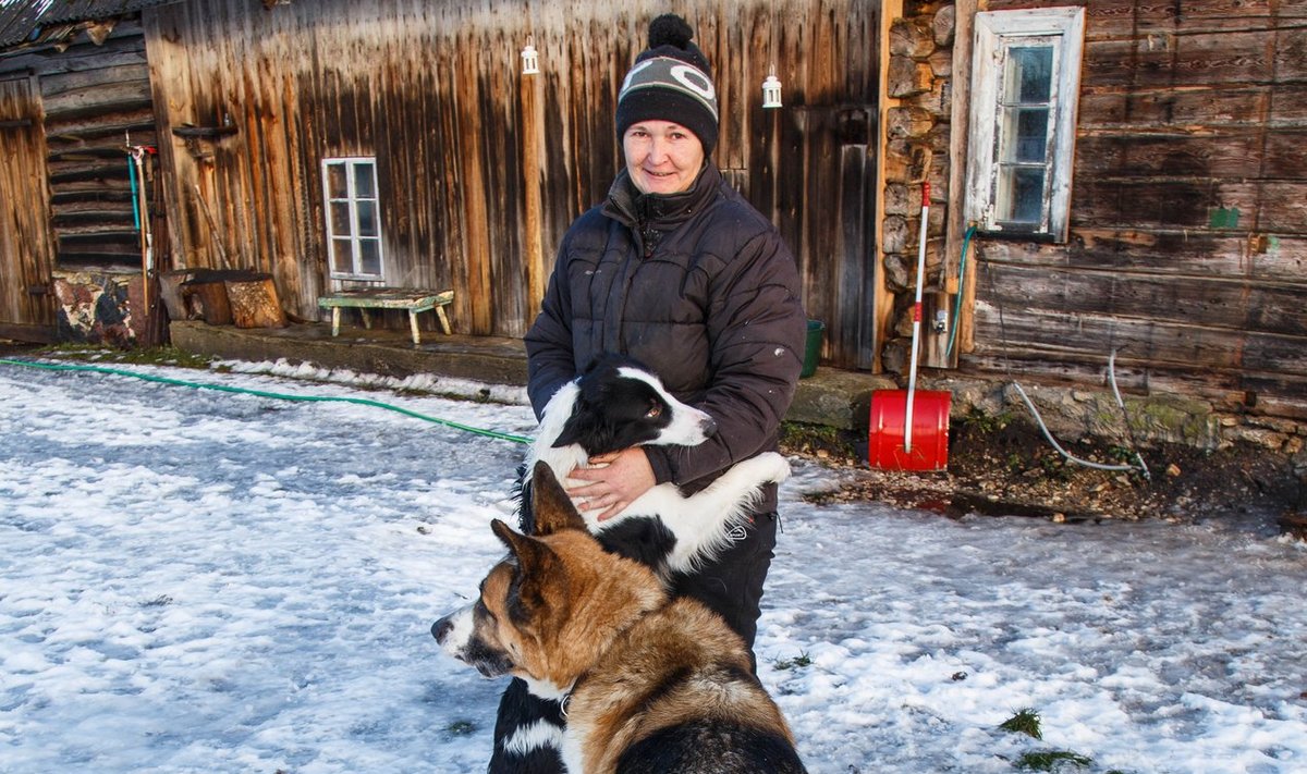 Katrin Glaze oma kahe koera, Minni ja Kustiga. Minni on Norrast toodud borderkolli.