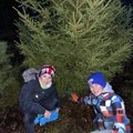 ФОТО | Ратас показал, какую елку он и его сыновья принесли домой из леса