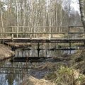 Город Таллинн ждет предложений по тропе здоровья на Ыйсмяэском болоте