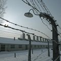 NYT: natsidel oli Euroopas 42 500 surmalaagrit