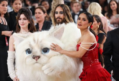 Anne Hathaway, Jared Leto, Salma Hayek