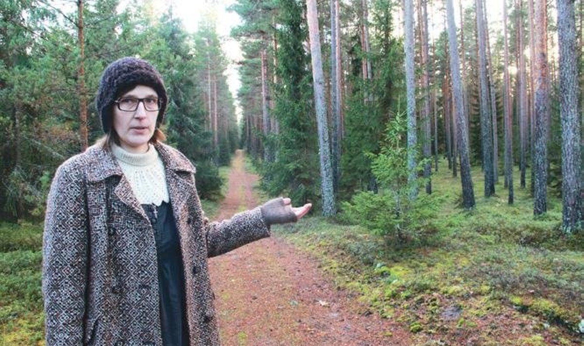 Audevälja Arenduskeskuse juhataja Helen Kooviste ütleb, et praeguses mahus Tatramäe II karjääri rajamisel kaoks kohalikele elanikele armsaks saanud künkaline mets selle radade ja andidega. Foto: Kristjan Otsmann