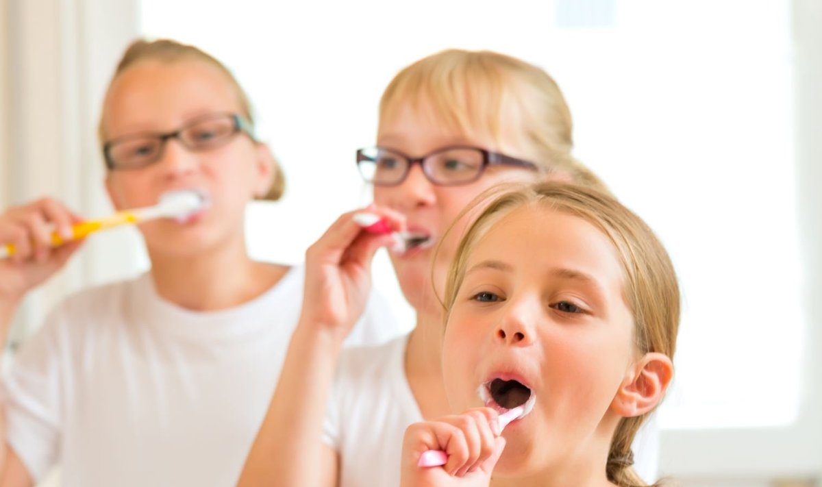 Korraliku suuhügieeni rutiin koosneb kaks korda päevas vähemalt kaks minutit järjest hammaste pesemisest ning hambavahede puhastamisest hambaniidiga.