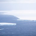 FOTO | Atlandil triiviv hiiglaslik jäämägi ähvardab Lõuna-Georgia saarel elu pea peale pöörata
