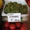 Сейчас на рынке проще найти эстонский виноград, чем морошку
