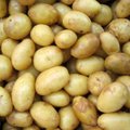 Eelistad kartulit, mitte makaroni või riisi? KAHEKSA vajalikku teadmist kartuli kohta