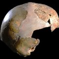 140 000 aastat tagasi elanud lapse kolju võis olla osalt inimese, osalt neandertallase oma