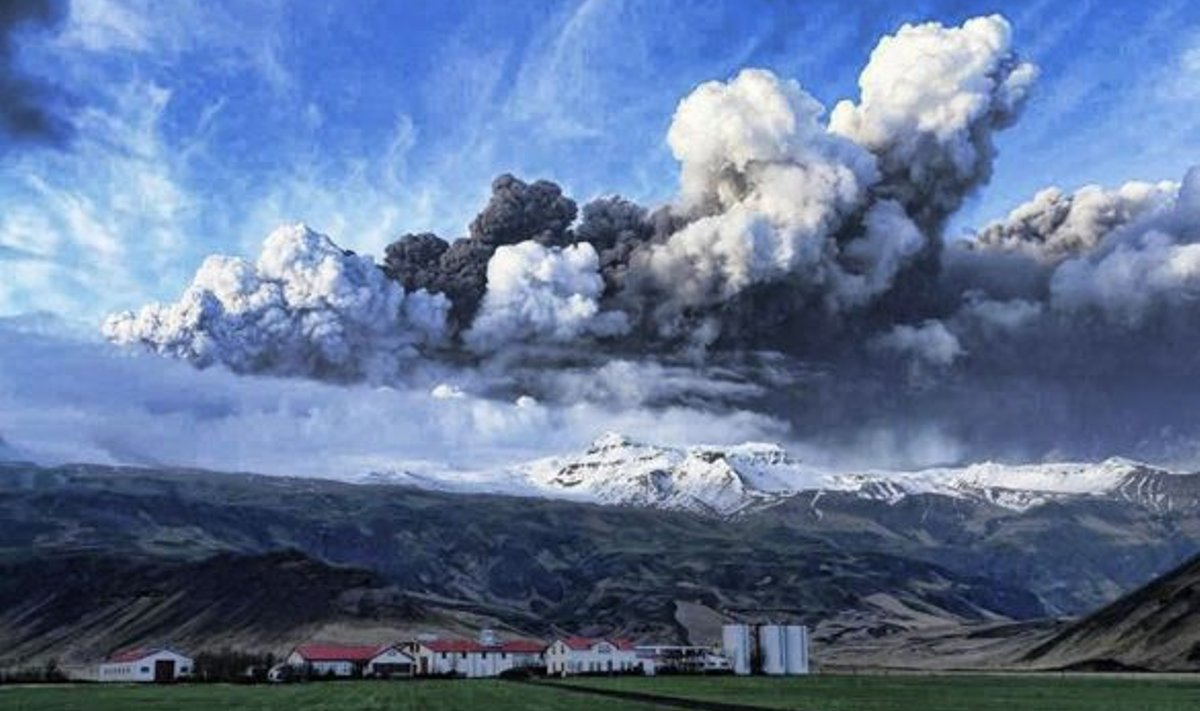 Islandi taluniku farm äsjakärgatanud Eyjafjallajökulli taustal. Foto Reuters / Ólafur Eggertsson 
