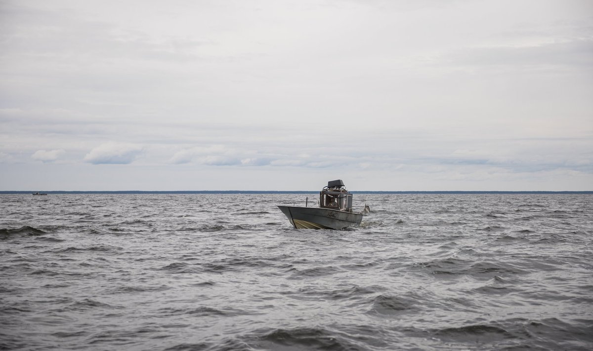 Võrkude tragimine Peipsi järvel 19.06.24