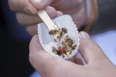 Putukate söömine tänavatoidufestivalil