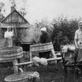 Elu Eesti külas saja aasta eest: puhtusega oli pahasti. Arstimiks keedeti sipelgaid, aborti tehti hoopis eriskummaliselt