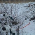 Juubelihõnguline Utria dessant saab alguse Jõhvis ja lõpeb Narvas