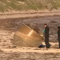 На побережье Австралии выбросило непонятный объект. Что это может быть?