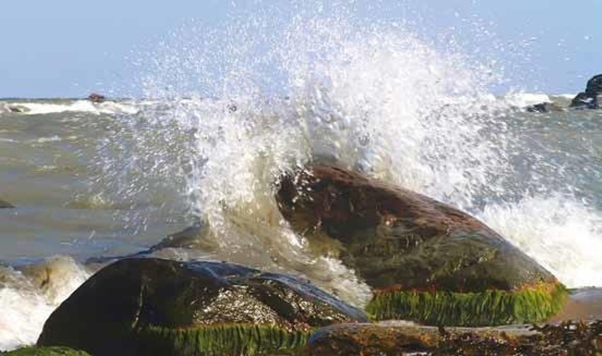 Parim loodusfoto: “Meri peab pidu Rohuneeme rannas“, autor Laidi Koppel