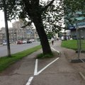 FOTO: Hea teada – Tallinn õpetab puust mööda sõitma!