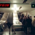 Stockholmi metroost leiti haruldasi eluvorme