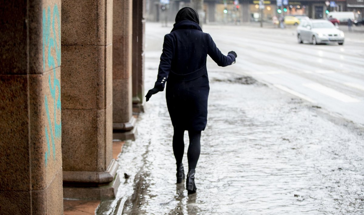 Ледяной дождь в Таллинне 23.02.2021 