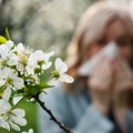 Аллергию на пыльцу нужно лечить антигистаминными? Фармацевт советует попробовать другие более эффективные лекарства