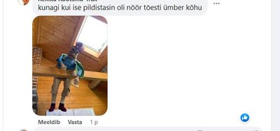 Üks kommenteerija lisas postituse alla ka pildi enda külastusest Lottemaale, mil nöör Adalberti küljes oli siiski ümber kõhu, nagu multifilmis.