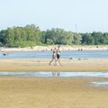 Märkamine Stroomi rannas. „Midagi võiks ometi koduseinte vahele jääda! Kes üldse tuleb sellise nilbuse peale?“