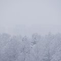 Лапландию засыпало снегом. Его глубина в некоторых местах доходит по полуметра