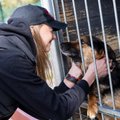 Nestlé Baltics annetab loomade varjupaikadele üle 1,3 tonni toitu 