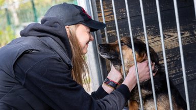 Nestlé Baltics annetab loomade varjupaikadele üle 1,3 tonni toitu 