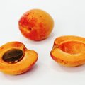 Aprikoosiseemnetega tasub olla ettevaatlik