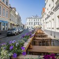 В Таллинне ищут самые красивые сады Старого города