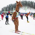 БОЛЬШАЯ ГАЛЕРЕЯ: Тартуский марафон выиграл норвежец Эстенсен, Алго Кярп пришел одиннадцатым