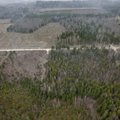 VASTUOLU | Ametnikud soovivad metsatoetuste taotlemise ainult elektrooniliseks muuta, metsameeste arvates peaks alles jääma ka teised võimalused